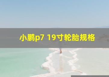 小鹏p7 19寸轮胎规格